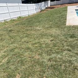 Rivas Design & Landscaping
