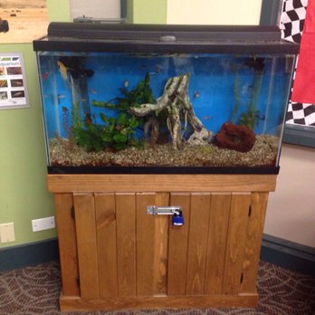 Linda Sokol Francis Brookfield Library - Fish tank next to the story time room - Libraries Near Me - Brookfield, Illinois Linda Sokol Francis Brookfield Library - Fish tank next to the story time room - Libraries Near Me - Brookfield, Illinois