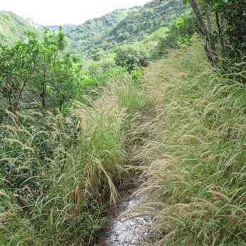 Waimano Loop Trail - Hiking Near Me - Pearl City, Hawaii