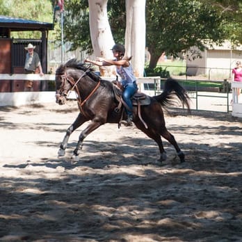 Stacey Turner Training Stables Riding School - Love the power, can not believe she has been riding for 8 years! - Horseback Riding Near Me - Norco, California Stacey Turner Training Stables Riding School - Love the power, can not believe she has been riding for 8 years! - Horseback Riding Near Me - Norco, California