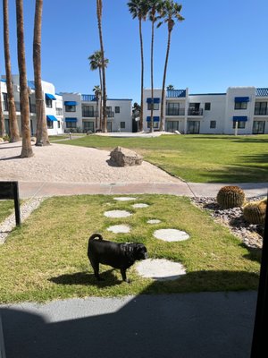 Serene Vegas Boutique Hotel by null