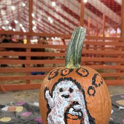 Torrance Pumpkin Patch