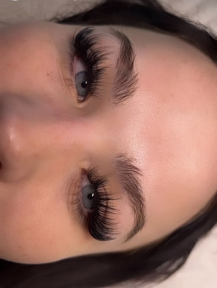 Lashed By Cinderella Logo