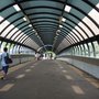新興花園休憩公園