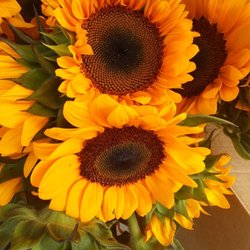 Hilo Farmer's Market