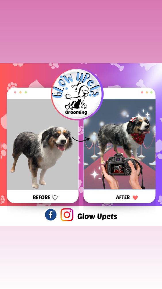 GLOW UPETS GROOMING Updated July 2024 25 Photos San José