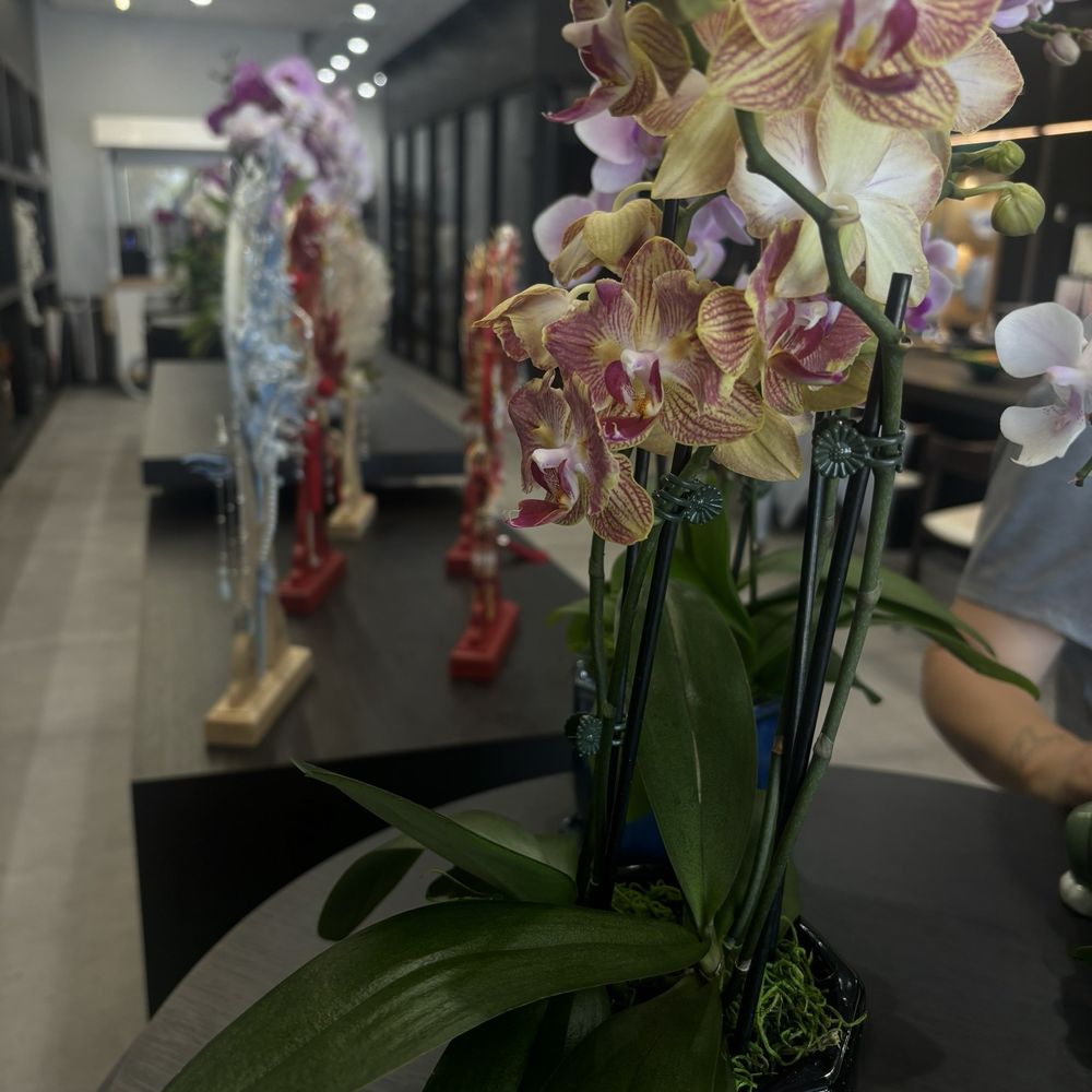 La Chance Floral Design - orchids - Floral Designers Near Me - Walnut, California La Chance Floral Design - orchids - Floral Designers Near Me - Walnut, California