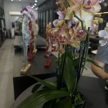 La Chance Floral Design - orchids - Floral Designers Near Me - Walnut, California La Chance Floral Design - orchids - Floral Designers Near Me - Walnut, California
