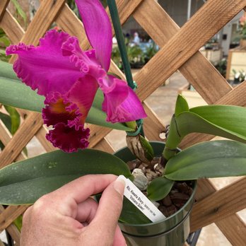Akatsuka Orchid Gardens - Flowers & Gifts Near Me - Volcano, Hawaii