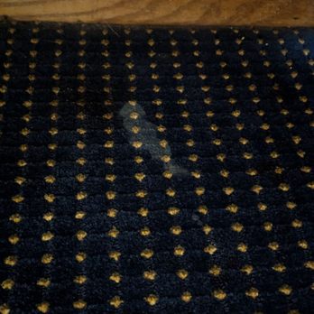 Super 8 by Wyndham O'Fallon MO/St. Louis Area - Gross on the rug - Hotels Near Me - O Fallon, Missouri Super 8 by Wyndham O'Fallon MO/St. Louis Area - Gross on the rug - Hotels Near Me - O Fallon, Missouri