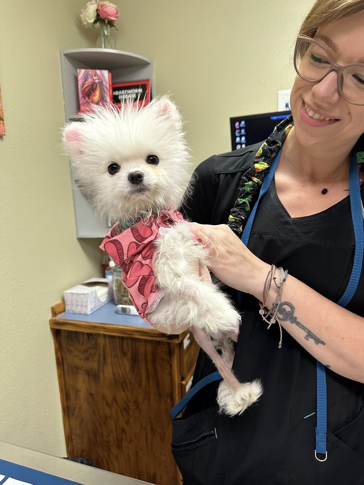 IRONWOOD VETERINARY CLINIC Updated October 2024 24 Photos & 46