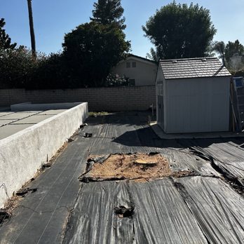 Raymundo Tree Service - Tree Services Near Me