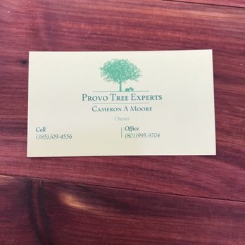 Provo Tree Experts - Tree Services Near Me