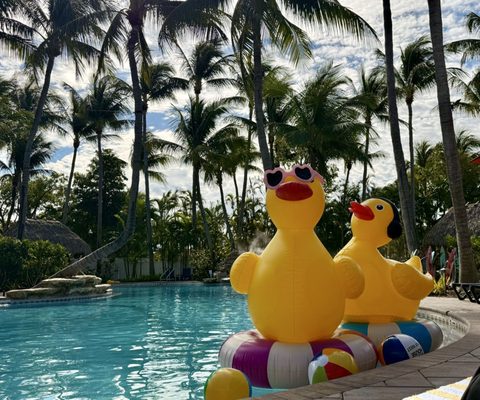 Havana Cabana by null