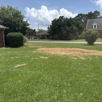 Tree Commander - Tree Services Near Me