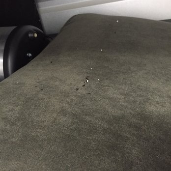 Extra Space Storage - Poop and pee on brand new couches - Self Storage Near Me - Murrieta, California Extra Space Storage - Poop and pee on brand new couches - Self Storage Near Me - Murrieta, California