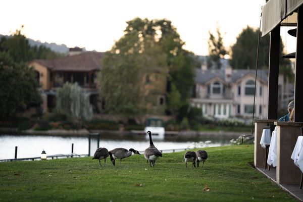 The Landing Grill & Sushi Bar by null