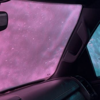 Pink Bird - Car Wash Near Me - West Palm Beach, Florida