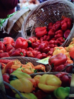 Lane County Farmers Market by null