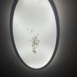 Roach infested light Roach infested light