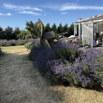 Jardin Du Soleil Lavender - Venues & Event Spaces Near Me - Sequim, Washington