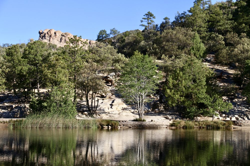 ROSE CANYON LAKE 54 Photos & 16 Reviews Fishing Catalina Hwy