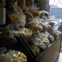Photo of Biscoitos Bom Chefe