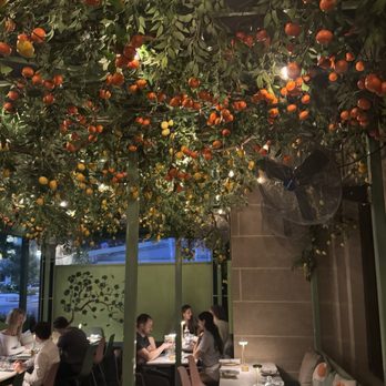 Residents Cafe & Bar - Patio - Cocktail Bars Near Me - Washington, DC, District of Columbia