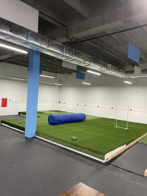 Snouts & Stouts - Dog Bar by null