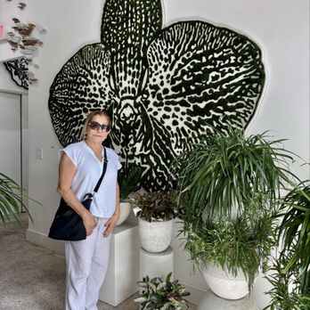 Plant The Future - Art Galleries Near Me - Miami, Florida Plant The Future - Art Galleries Near Me - Miami, Florida