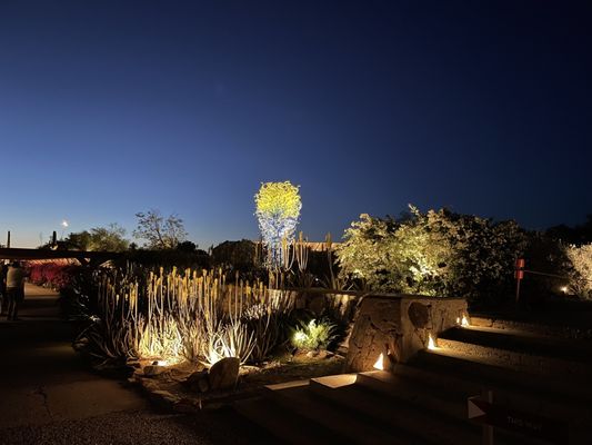Taliesin West by null