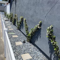 Side yard. Jasmine growing up wall in a beautiful design and blue rock with stepping stones. Great side area for our dogs.