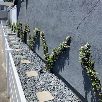 Killelea Landscape - Side yard. Jasmine growing up wall in a beautiful design and blue rock with stepping stones. Great side area for our dogs. - Tree Services Near Me - Costa Mesa, California