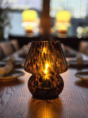 Mexican Sugar by null