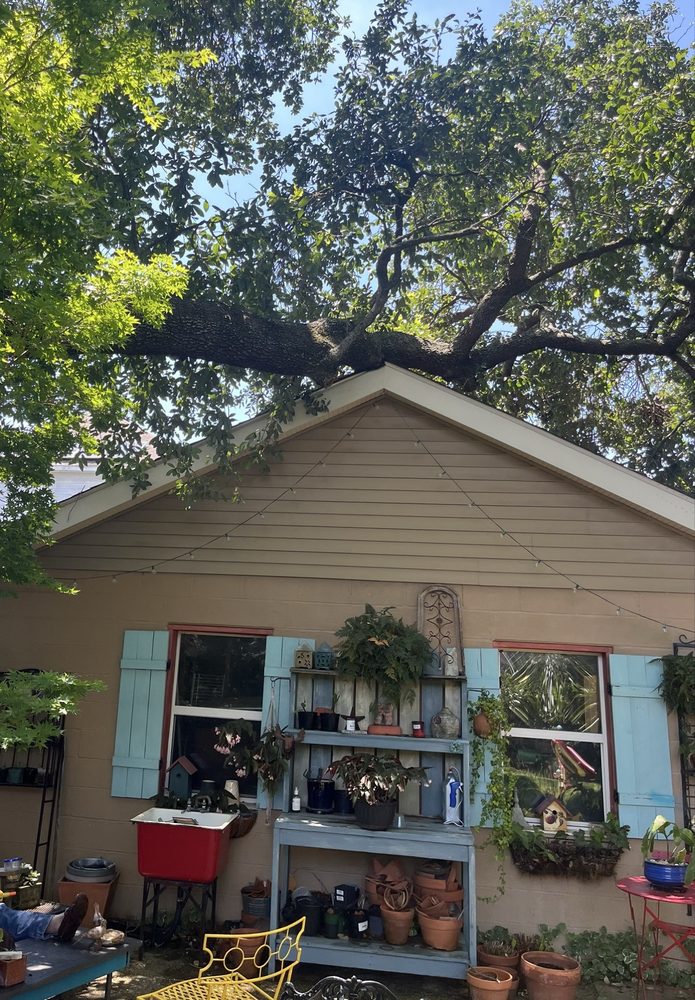 Crescent City Tree - tree service in Kenner, LA