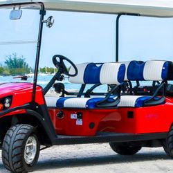 Electric and Gas Powered Car Rentals