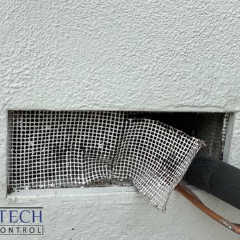 Contech Pest Control - Make certain your foundation vents are well sealed. Rats & mice can enter your home to seek for food and warmth from there - Pest Control Near Me Contech Pest Control - Make certain your foundation vents are well sealed. Rats & mice can enter your home to seek for food and warmth from there - Pest Control Near Me