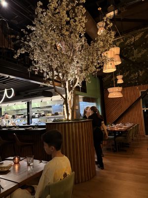 Subterra Agave Bar by null