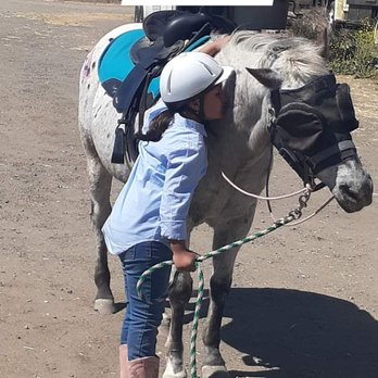 Jeanette Arnaout Training - Horseback Riding Near Me - Gilroy, California Jeanette Arnaout Training - Horseback Riding Near Me - Gilroy, California