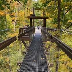 Holden Arboretum - Canopy walk