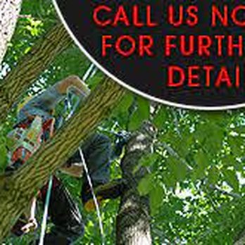 Kelly Crockett's Tree Care - Tree Services Near Me - Indianapolis, Indiana Kelly Crockett's Tree Care - Tree Services Near Me - Indianapolis, Indiana