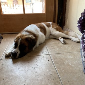 Discount Pets - Pet Groomers Near Me - Anaheim, California