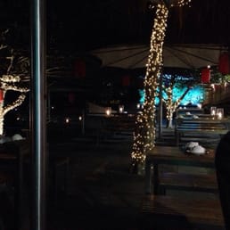 Bodhi at night