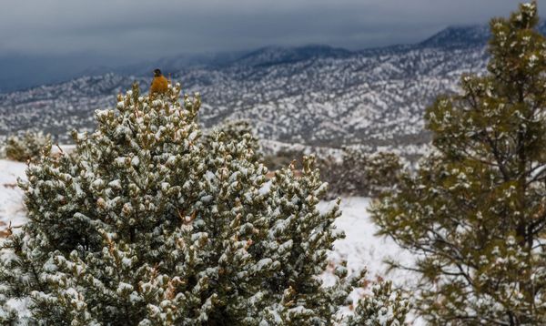 Casas de Santa Fe by null