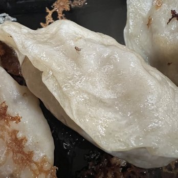 Dumpling King - Chicken Fried Dumplings - Chinese Near Me - North Miami Beach, Florida