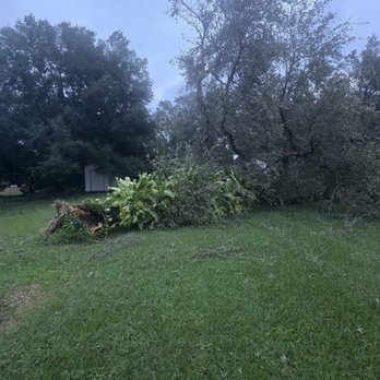 Mikey's Tree Service - Tree Services Near Me - Spring Hill, Florida Mikey's Tree Service - Tree Services Near Me - Spring Hill, Florida
