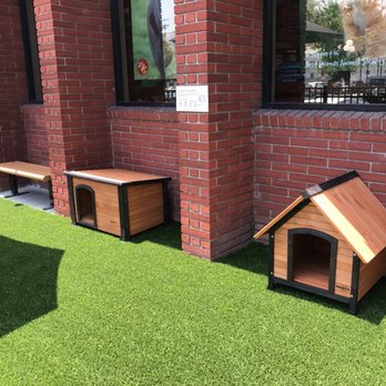Pet Food Express - Places for the dogs and humans to chill - Pet Stores Near Me - Glendale, California