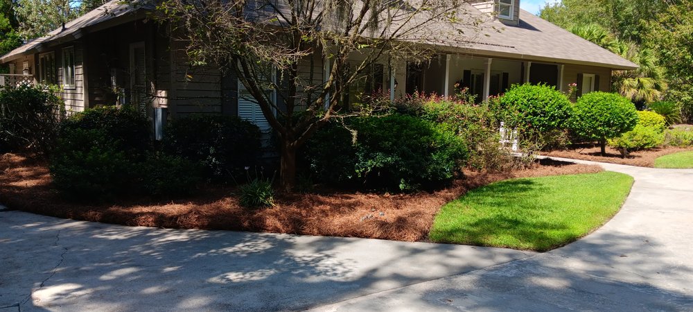 Yard Experts - tree service in Savannah, GA