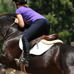 Surfside Show Jumping