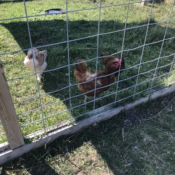 Lambs Farm - Amusement Parks Near Me - Libertyville, Illinois Lambs Farm - Amusement Parks Near Me - Libertyville, Illinois